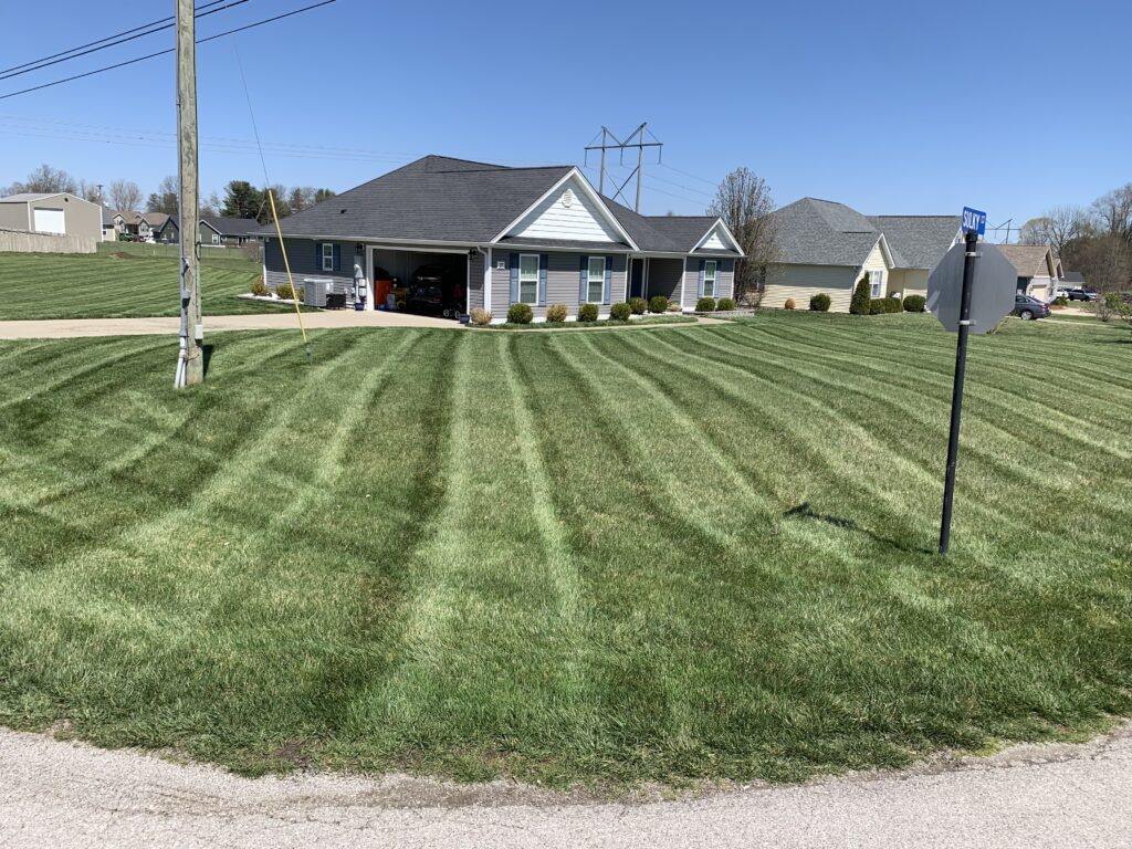KB Johns lawn work